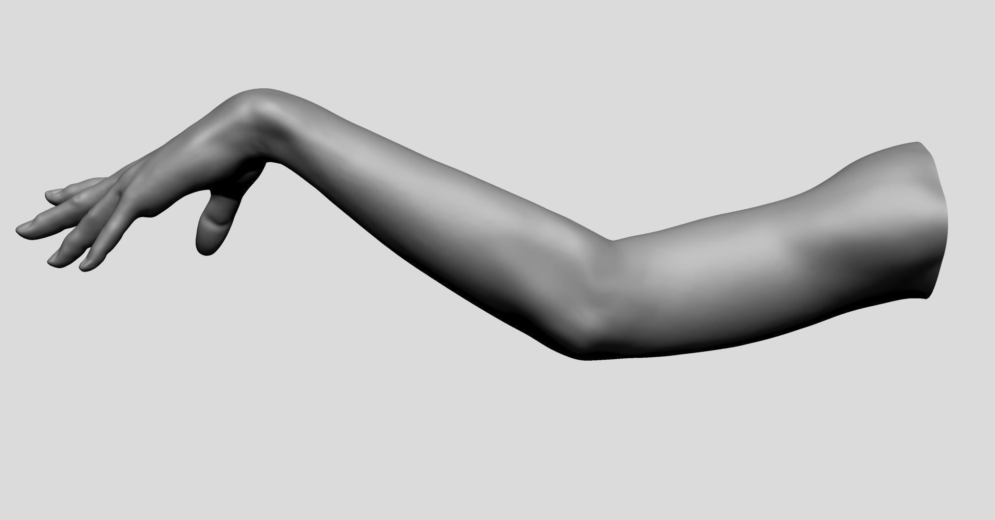 Female Arm 3D model_10