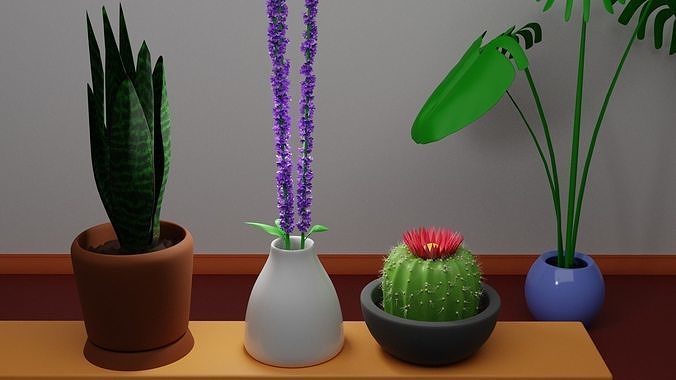 Plants Set three potted on shelf Free 3D model