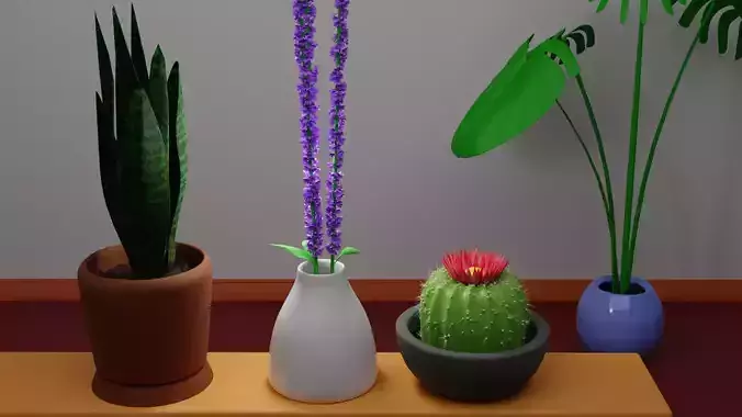 Plants Set three potted on shelf