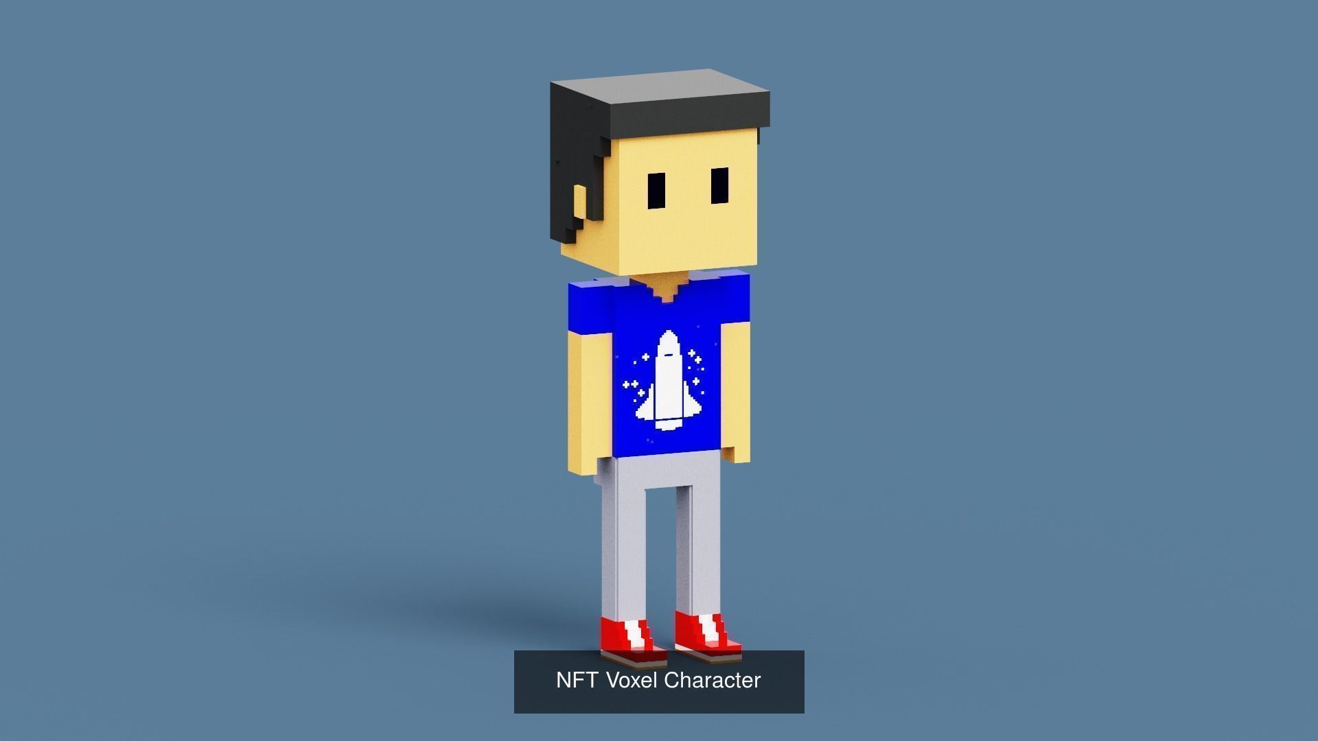 NFT Voxel Characters 3D Model Collection_2