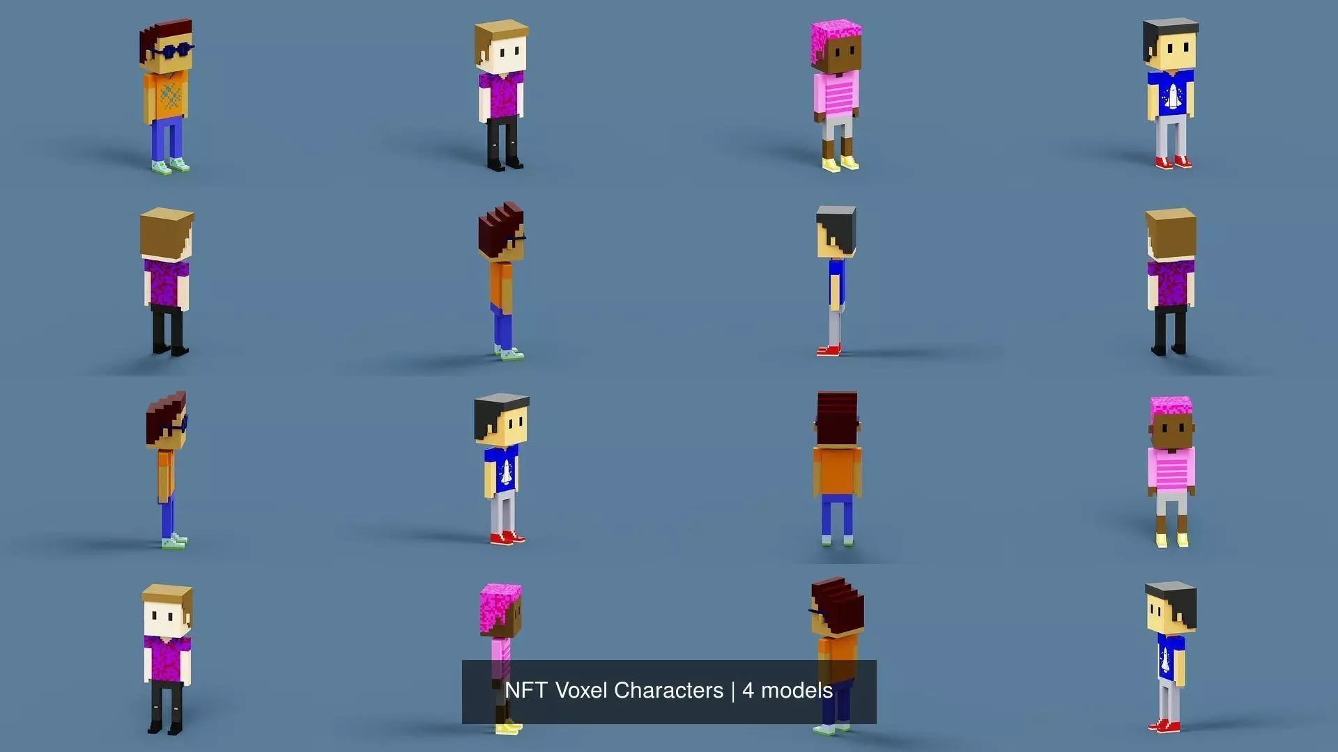 NFT Voxel Characters 3D Model Collection_0