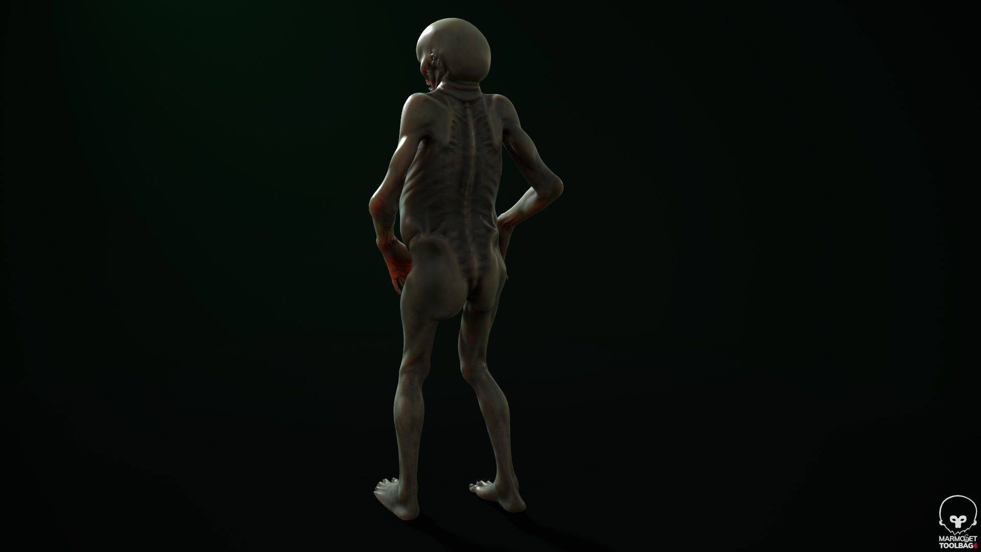 Mutant 5 zombie Low-poly 3D model_8