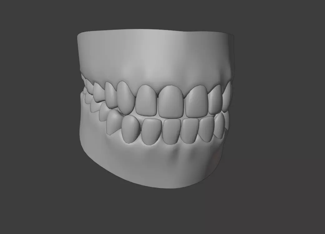Teeth human mouth with 3D model