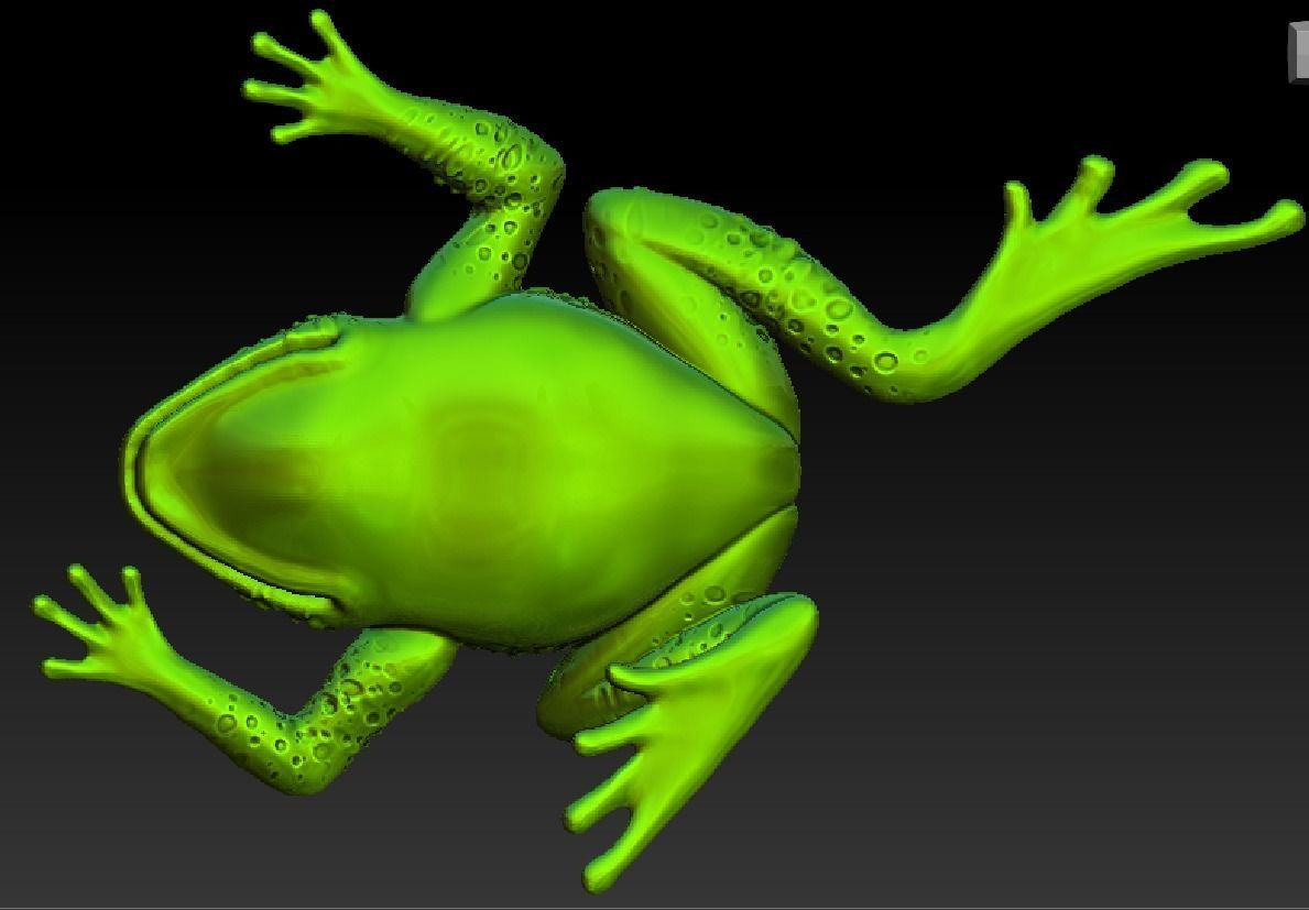 i am frog  3D print model_4