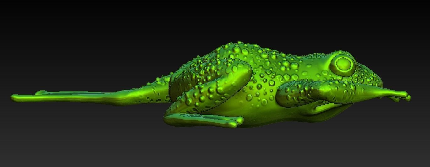 i am frog  3D print model_5