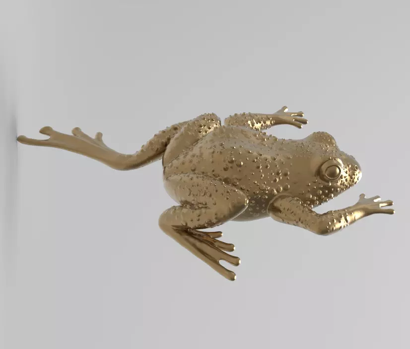 i am frog  3D print model_0