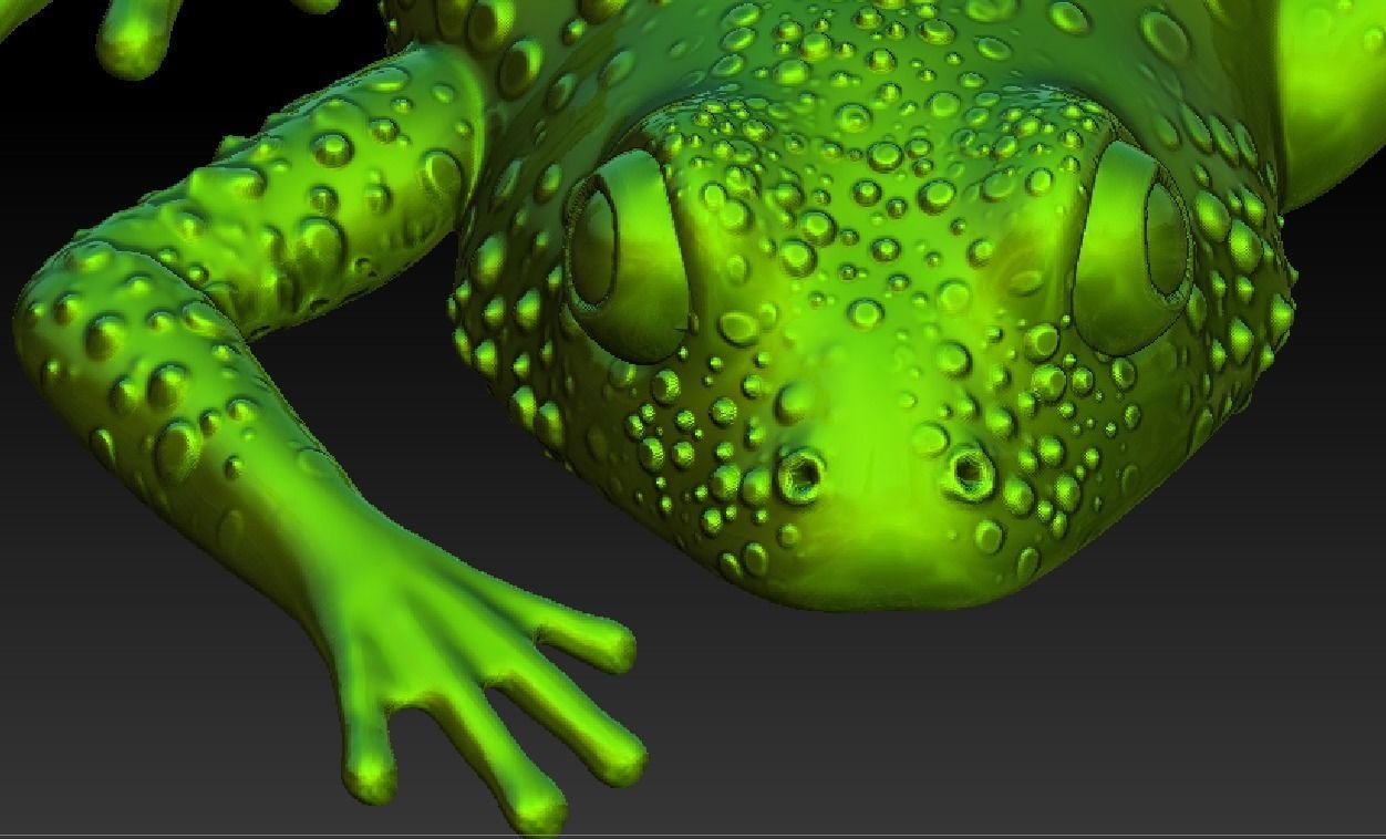 i am frog  3D print model_6