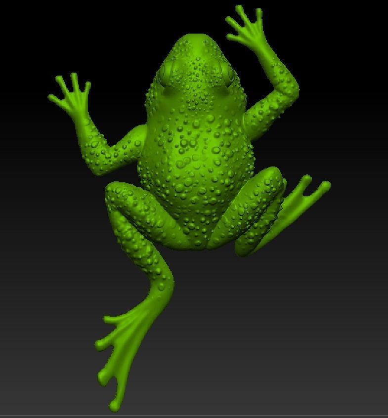 i am frog  3D print model_3