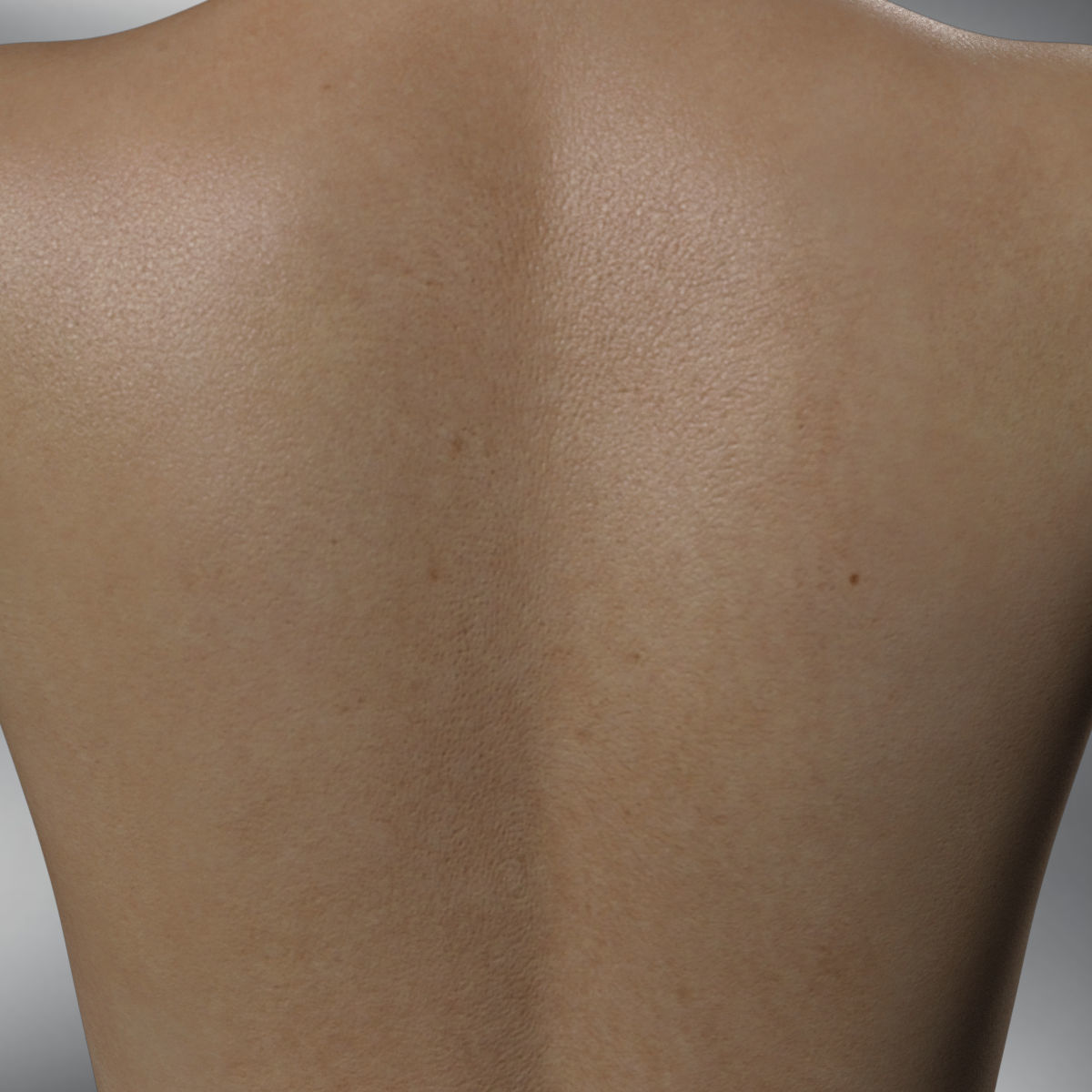 Hiraku V5 High Quality Textures and gift morph for G8 Female Texture_7