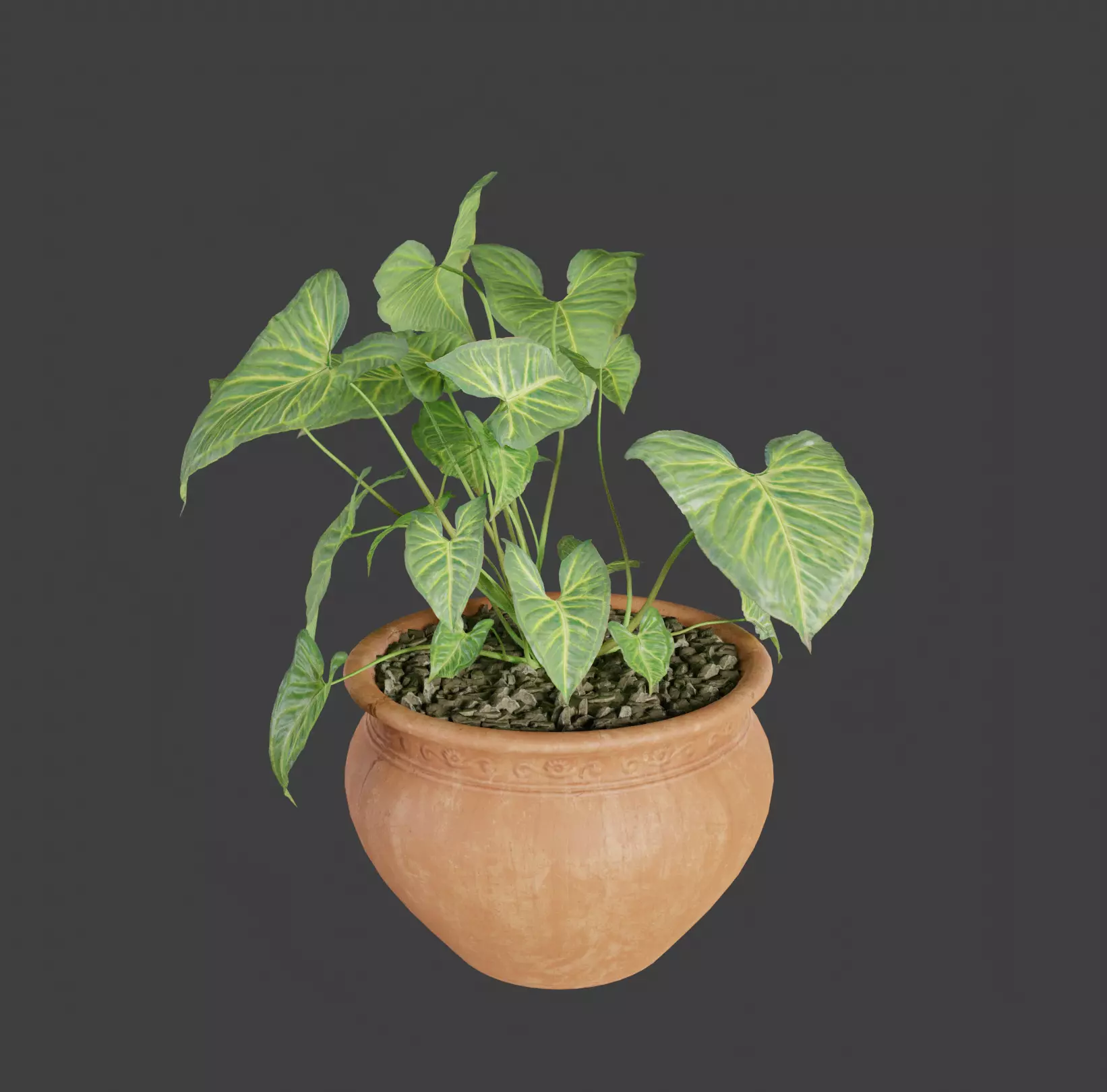 Room FLower Free 3D model_0