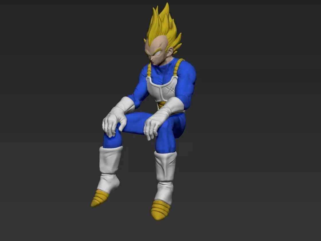 Sad Vegeta 3D print model_0