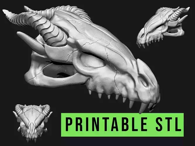 Dragon Skull Printable 3D print model