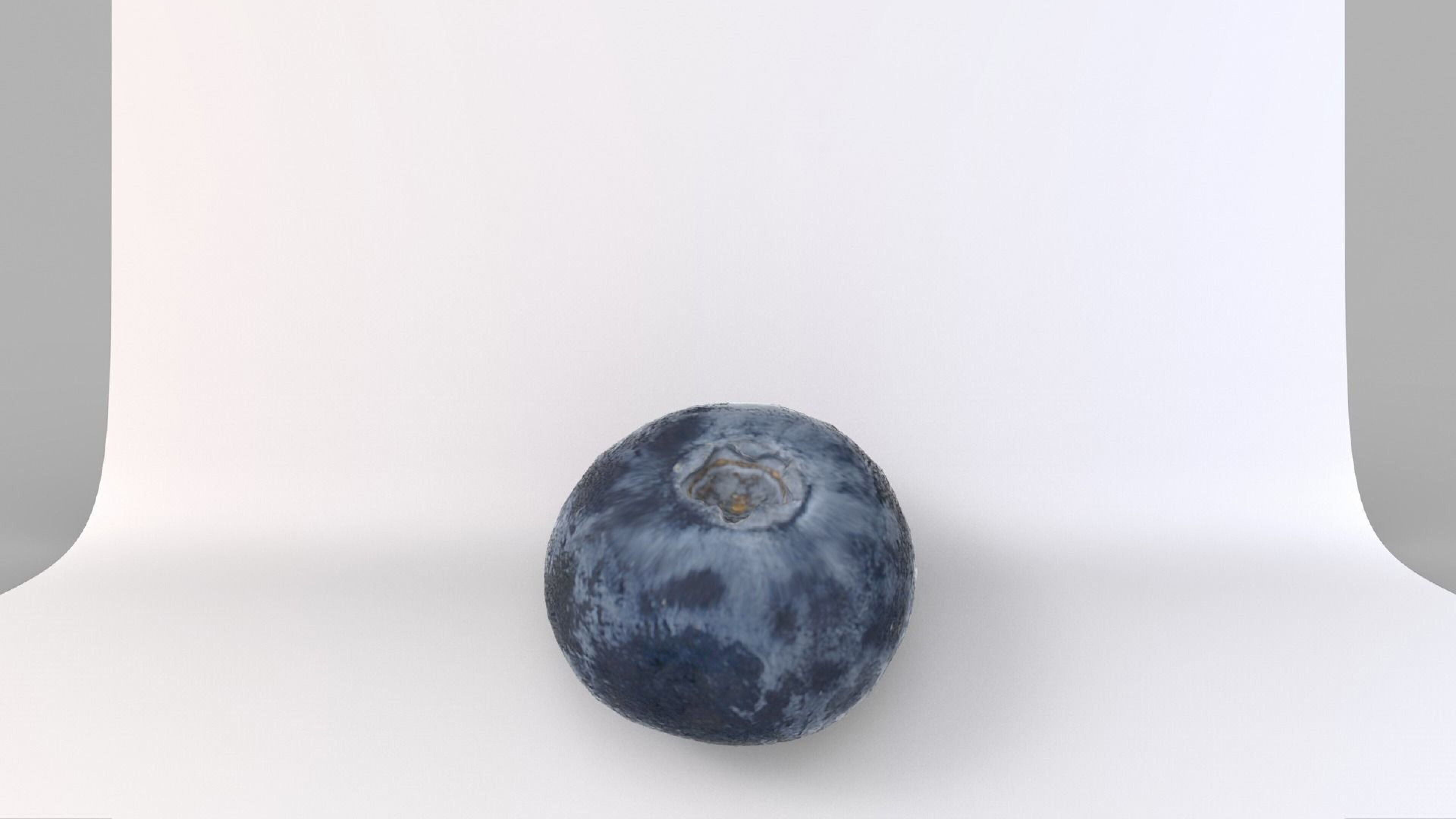 Blueberry 3D Low-poly 3D model_7