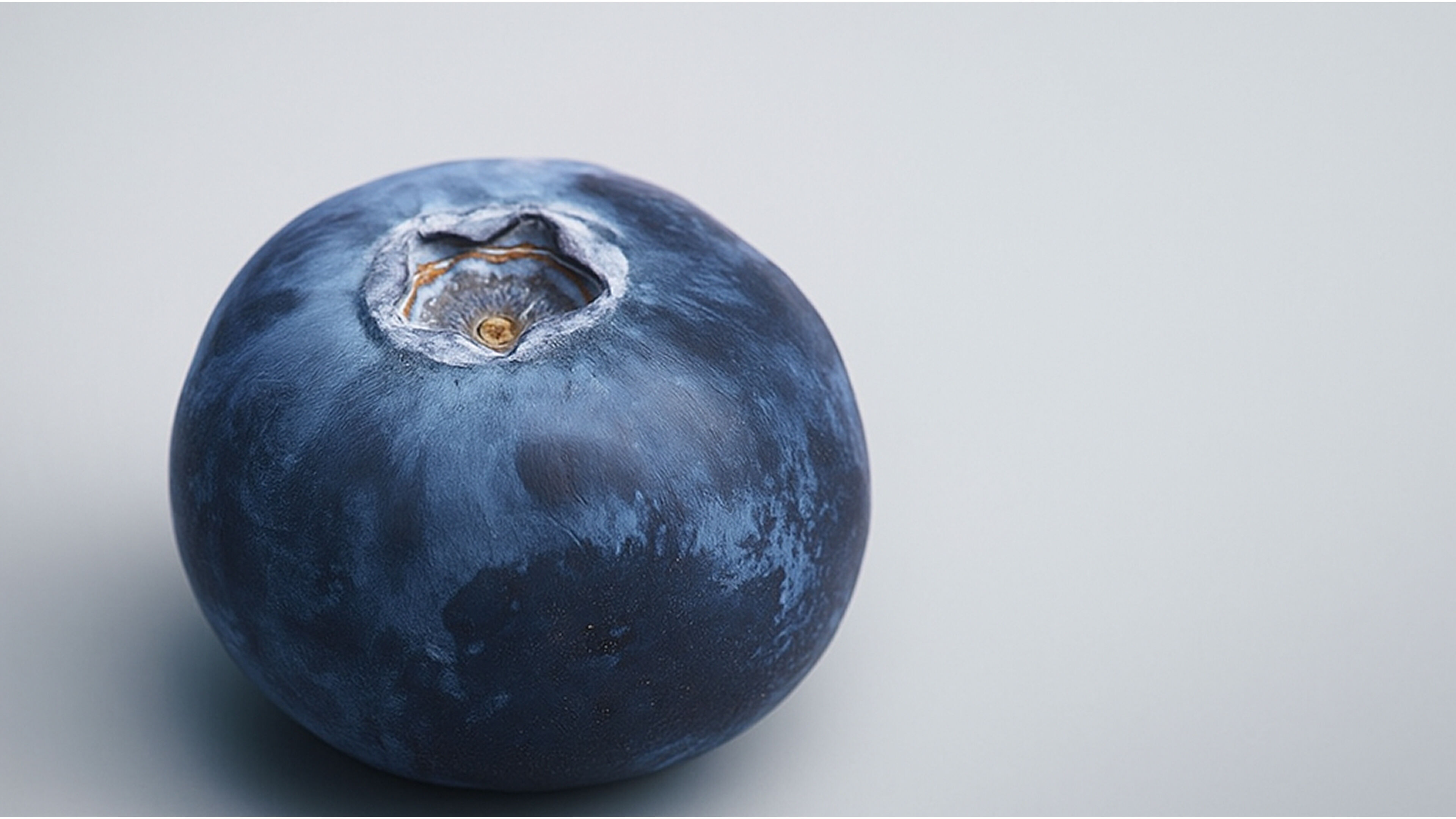 Blueberry 3D Low-poly 3D model_3