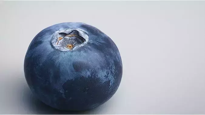 Blueberry 3D Low-poly 3D model 4