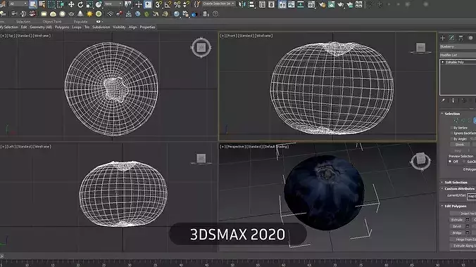 Blueberry 3D Low-poly 3D model 7