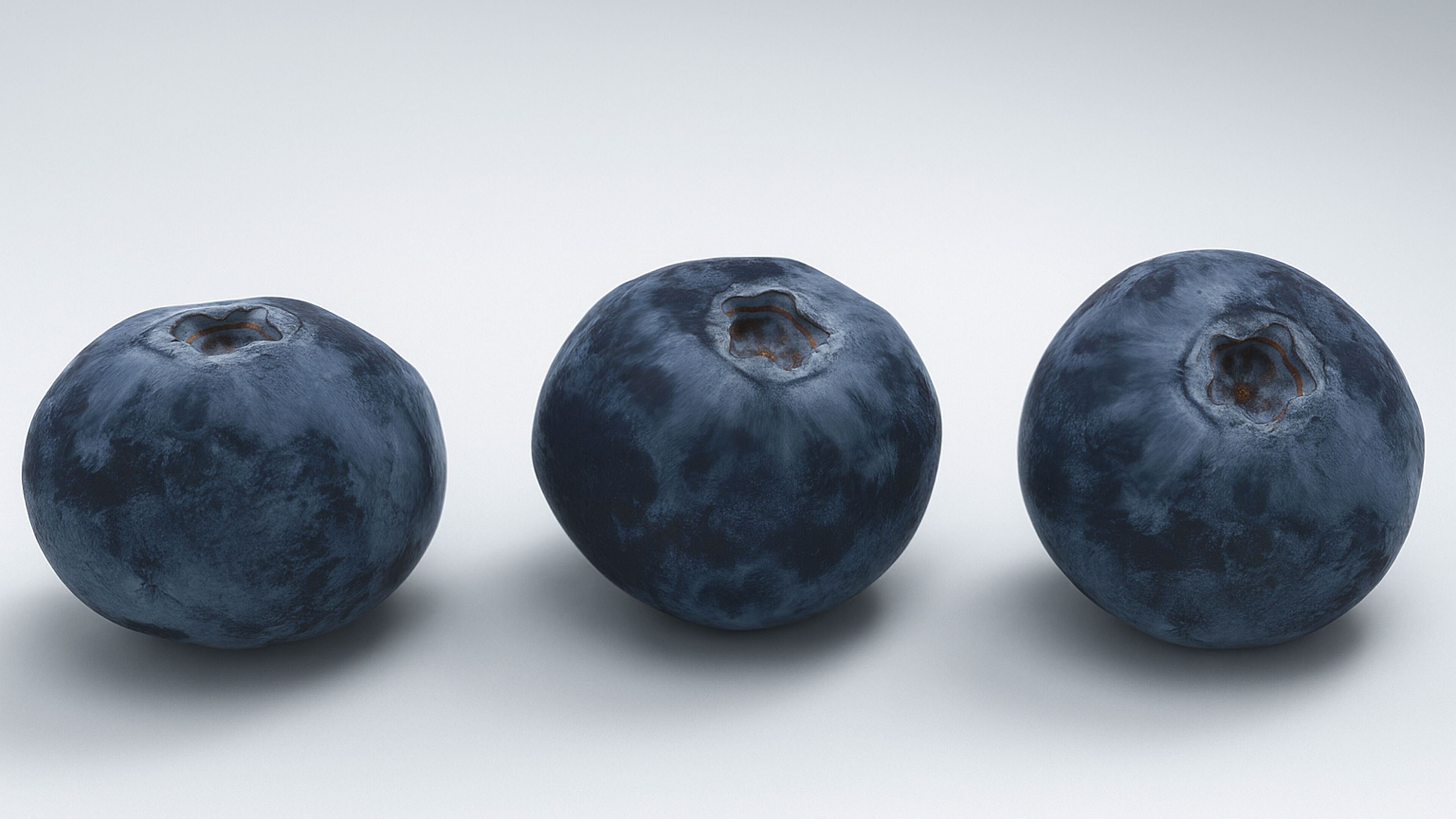 Blueberry 3D Low-poly 3D model_2