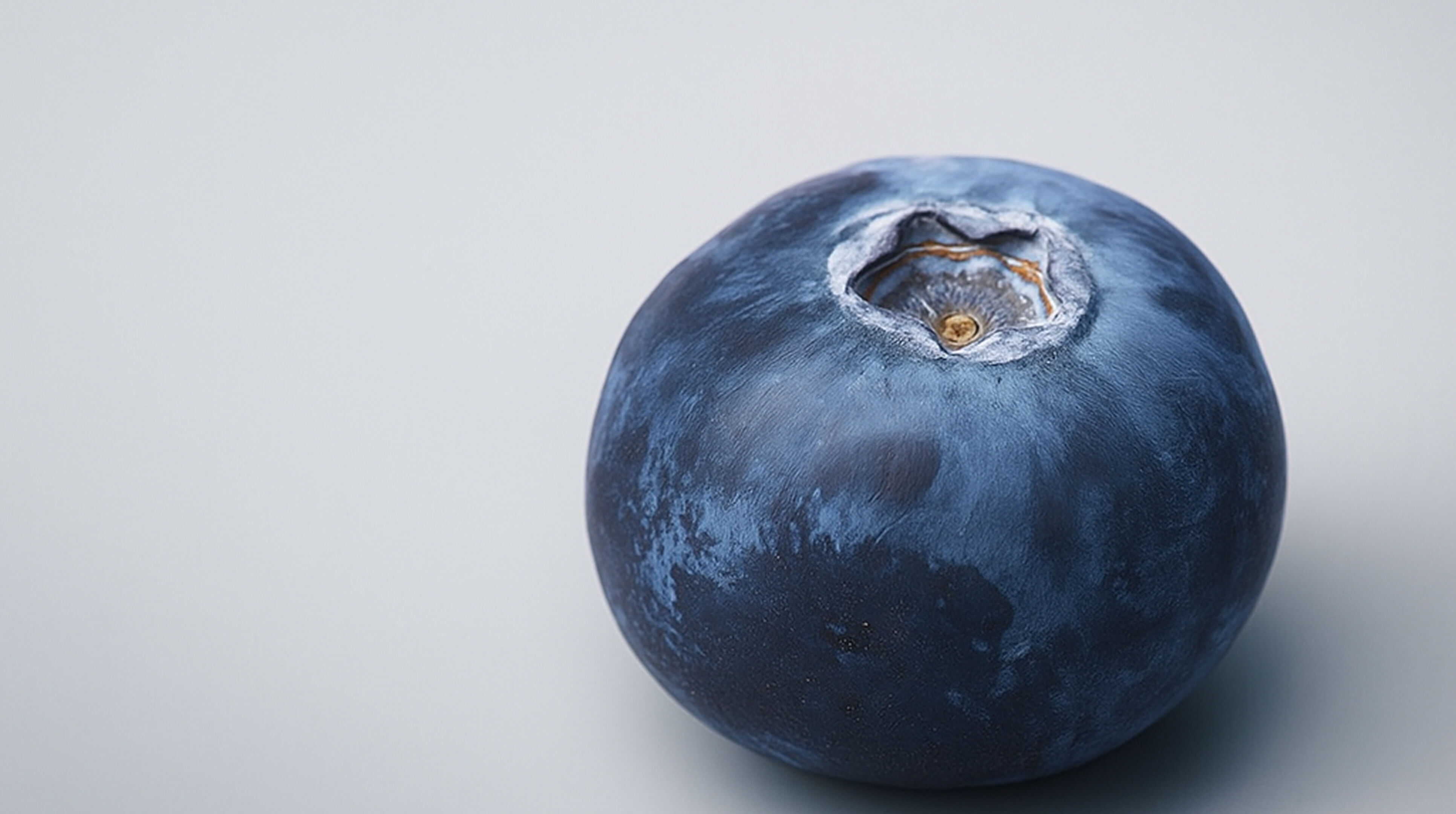 Blueberry 3D Low-poly 3D model_1