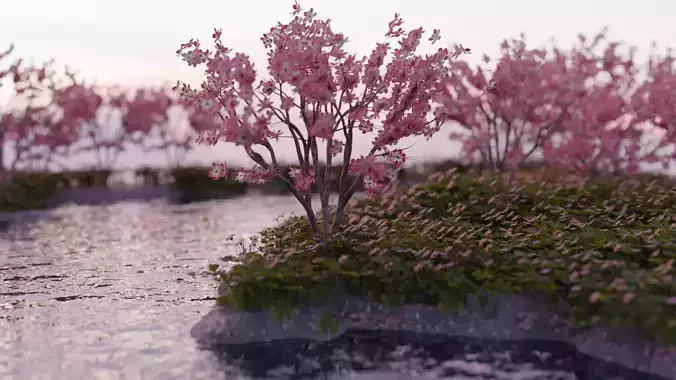 Japanese Cherry tree Low-poly 3D model