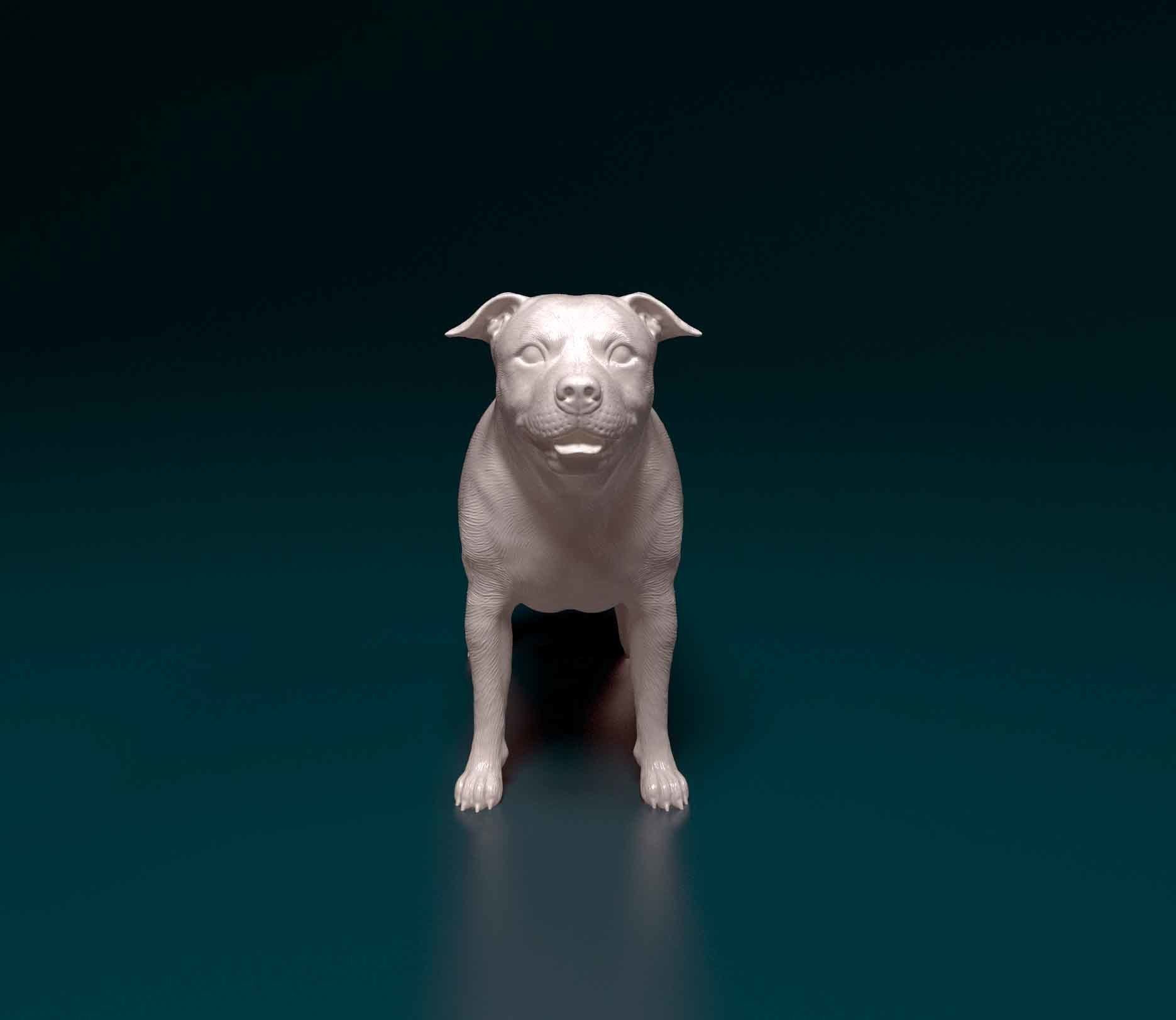 Staffordshire bull terrier 3 3D print model_5