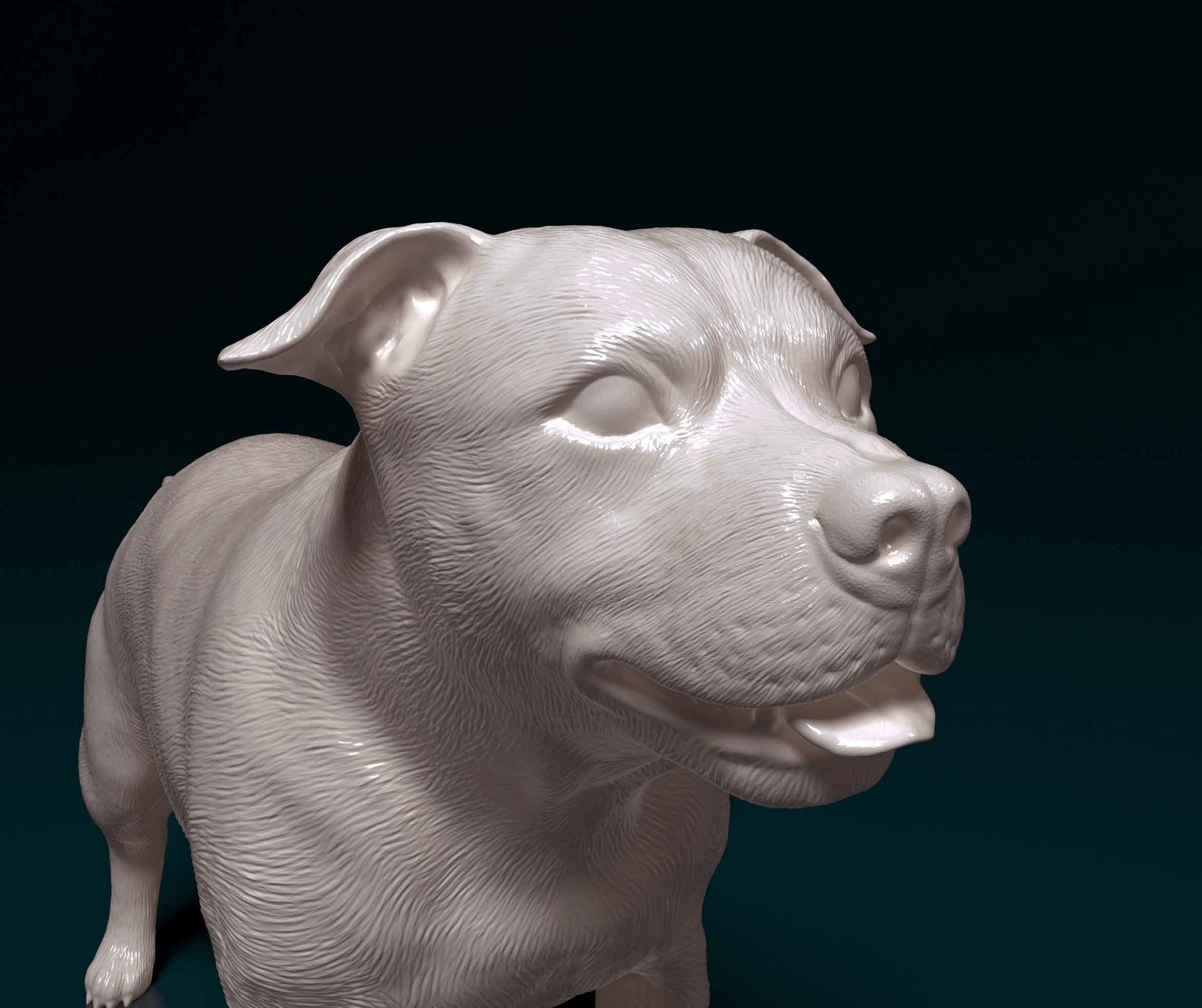 Staffordshire bull terrier 3 3D print model_6