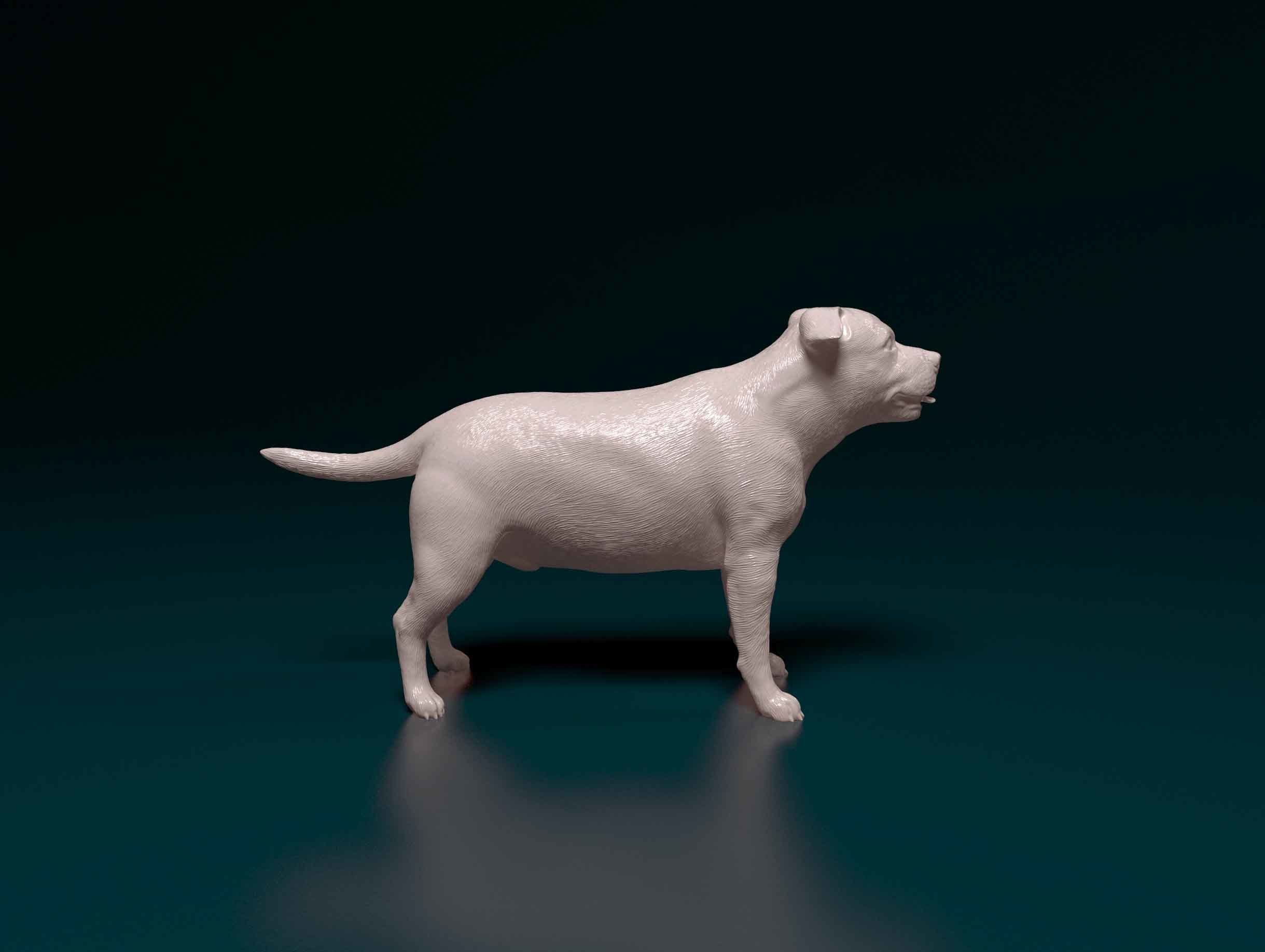 Staffordshire bull terrier 3 3D print model_1