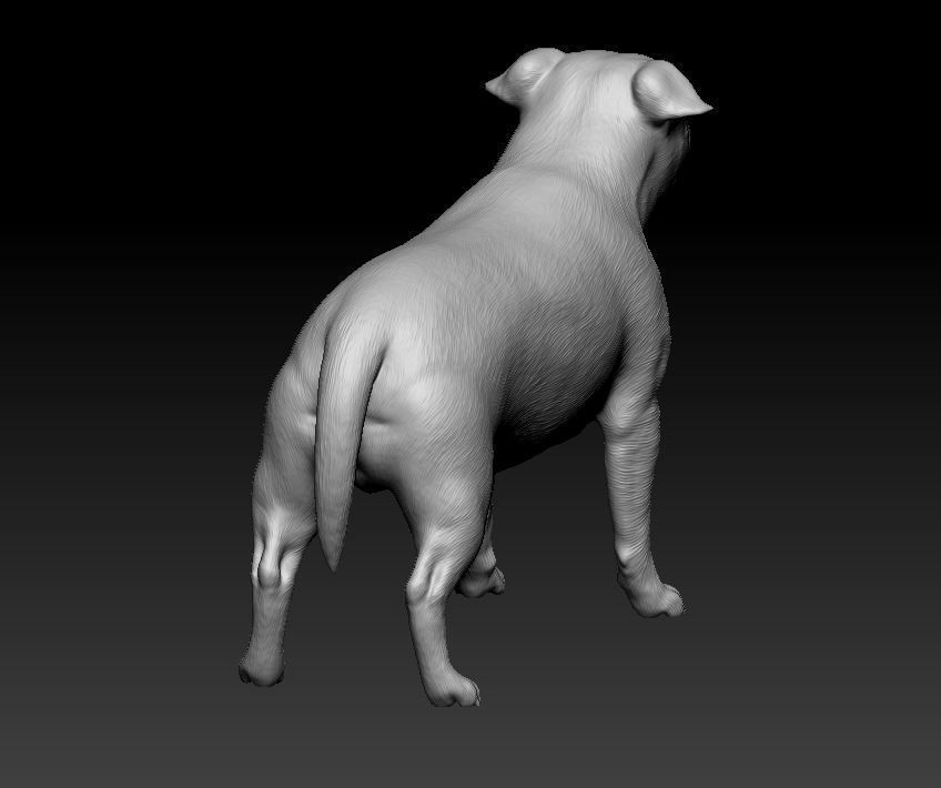 Staffordshire bull terrier 3 3D print model_7