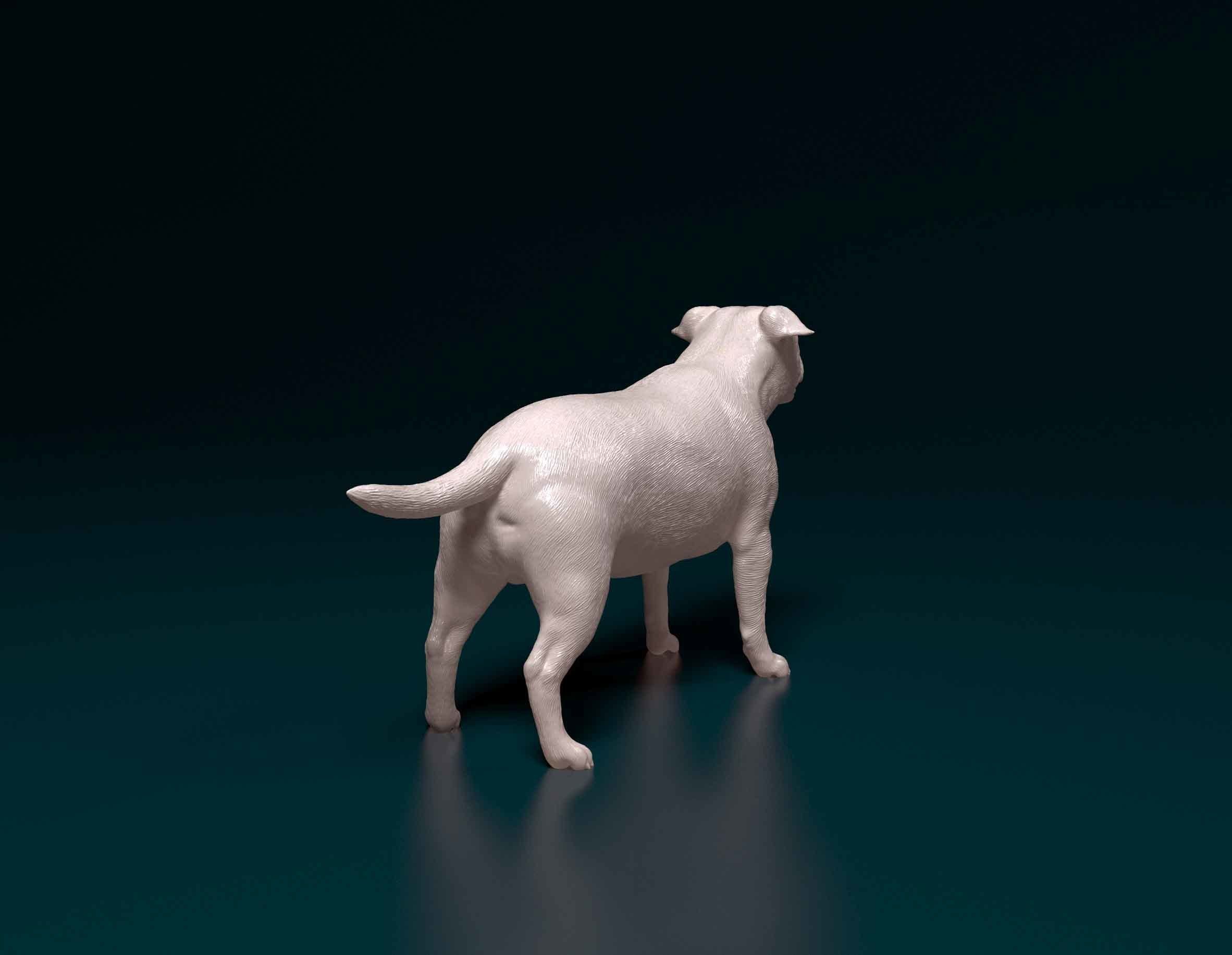Staffordshire bull terrier 3 3D print model_2
