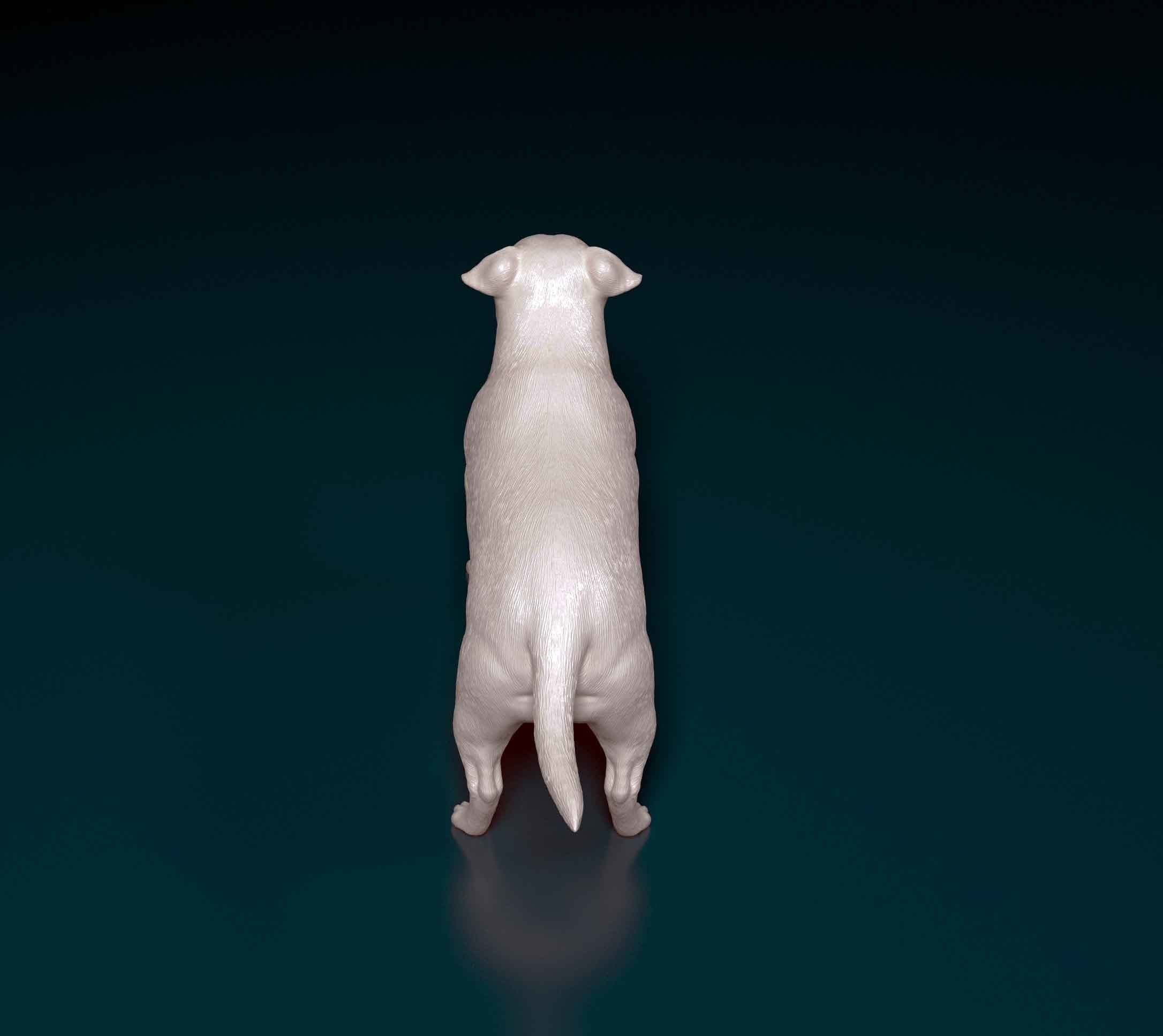 Staffordshire bull terrier 3 3D print model_3