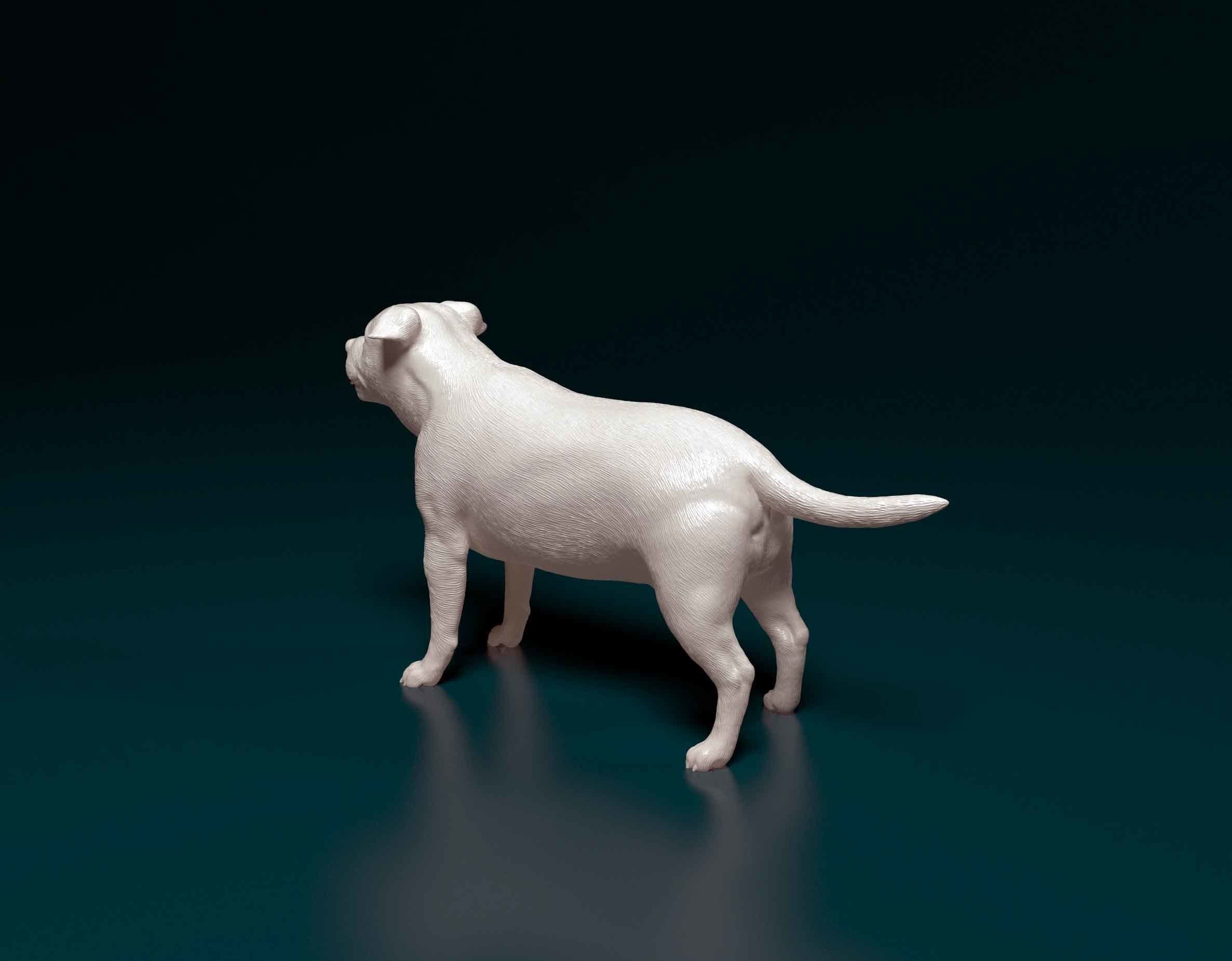 Staffordshire bull terrier 3 3D print model_4