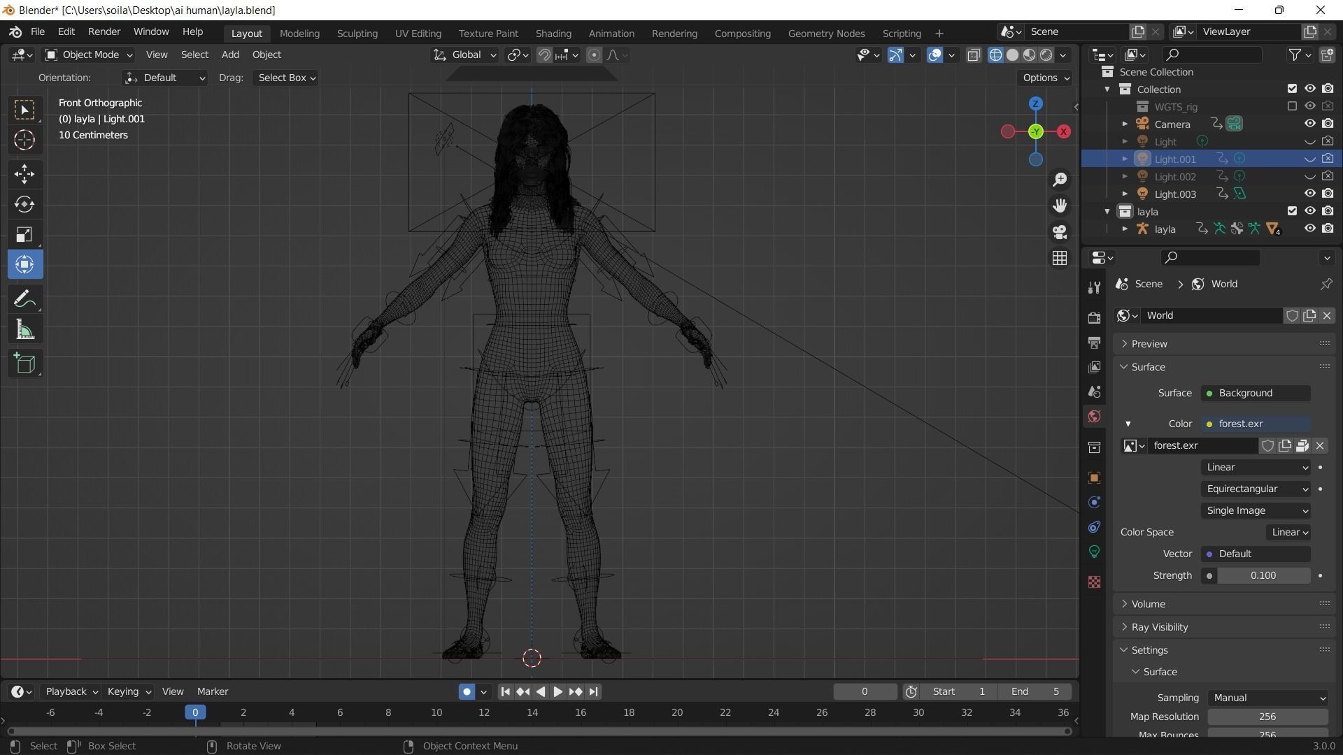 Layla Arabic Rigged Blender Realistic Female Character 3D model_5