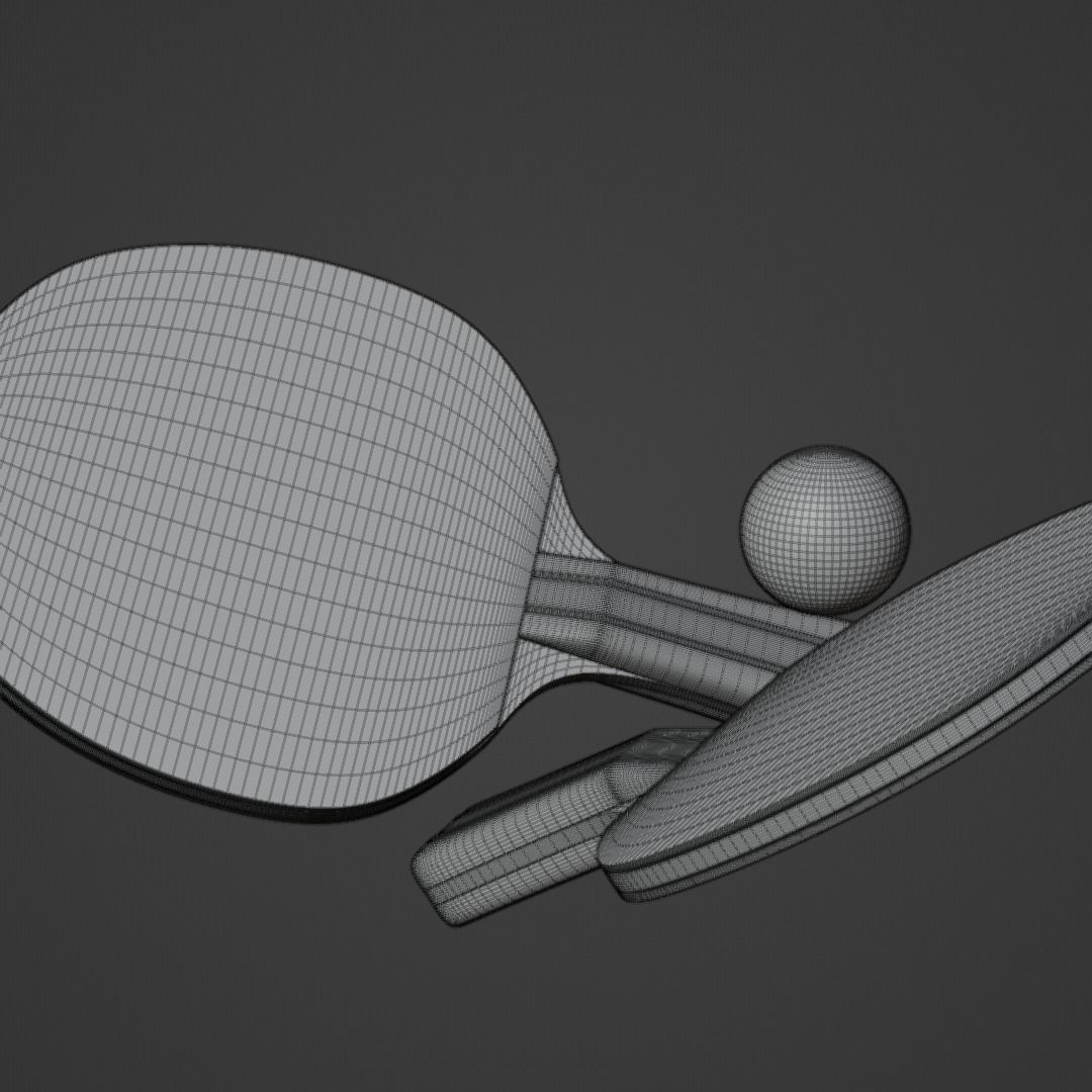 Realistic Table Tennis Racket and Ping Pong Ball 3D model_1