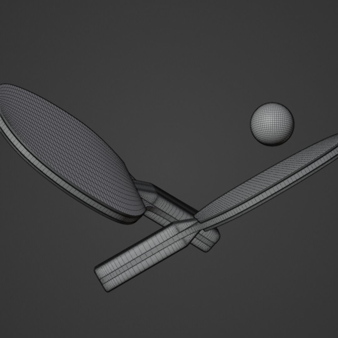 Realistic Table Tennis Racket and Ping Pong Ball 3D model_3