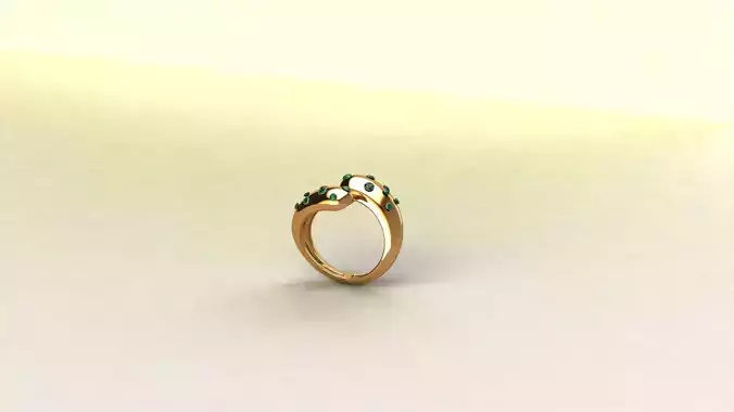 Curved Ring 3D print model