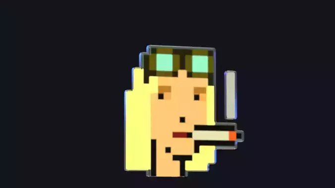 Cryptopunk Crypto Bitcoin Coin NFT 0499