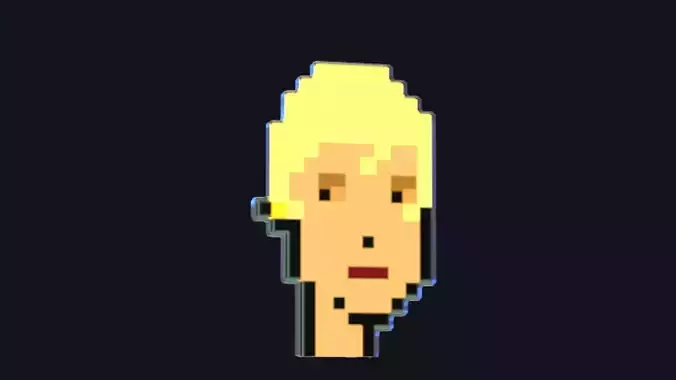 Cryptopunk Crypto Bitcoin Coin NFT 0498