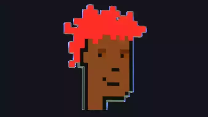 Cryptopunk Crypto Bitcoin Coin NFT 0495