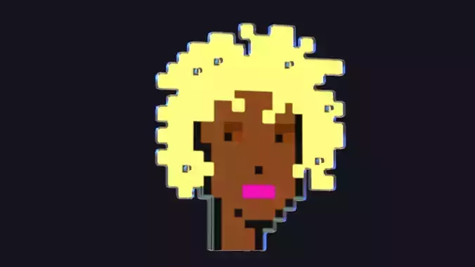 Cryptopunk Crypto Bitcoin Coin NFT 0493