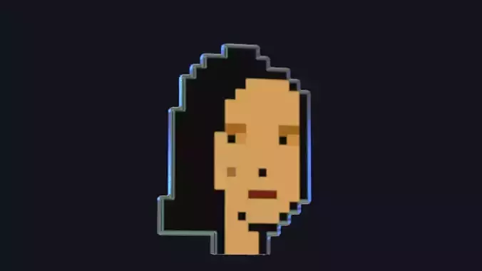 Cryptopunk Crypto Bitcoin Coin NFT 0488