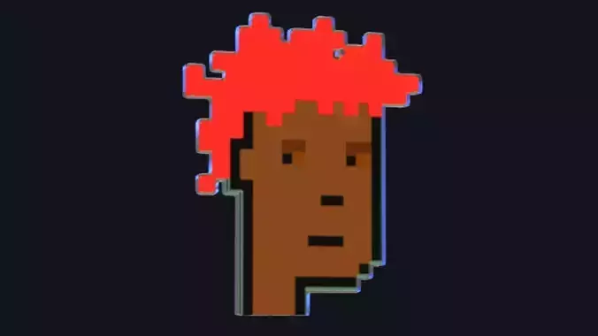 Cryptopunk Crypto Bitcoin Coin NFT 0487