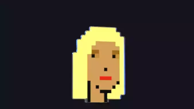 Cryptopunk Crypto Bitcoin Coin NFT 0486