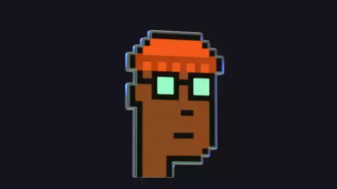 Cryptopunk Crypto Bitcoin Coin NFT 0484