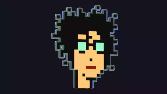 Cryptopunk Crypto Bitcoin Coin NFT 0481