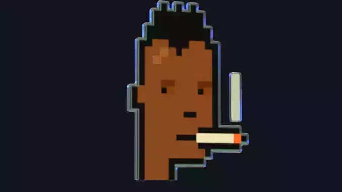 Cryptopunk Crypto Bitcoin Coin NFT 0478