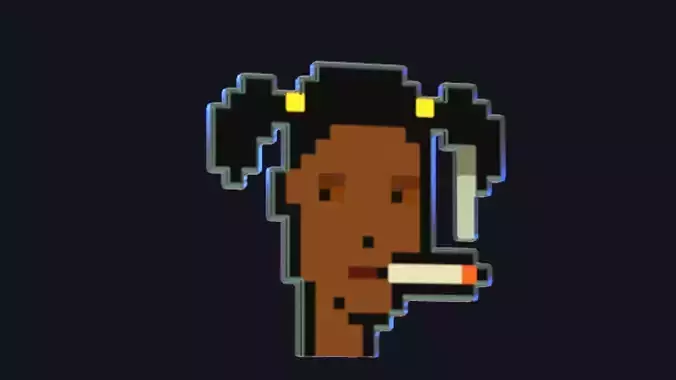 Cryptopunk Crypto Bitcoin Coin NFT 0474