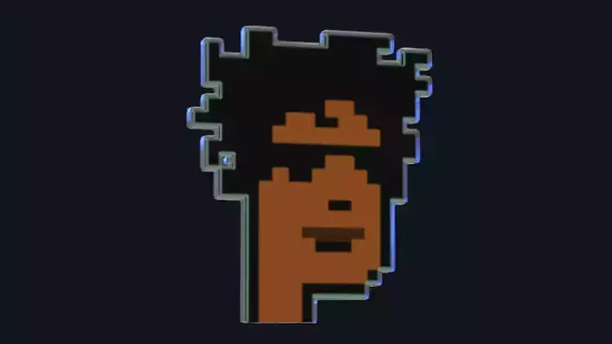 Cryptopunk Crypto Bitcoin Coin NFT 0472