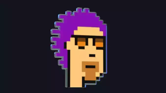 Cryptopunk Crypto Bitcoin Coin NFT 0467