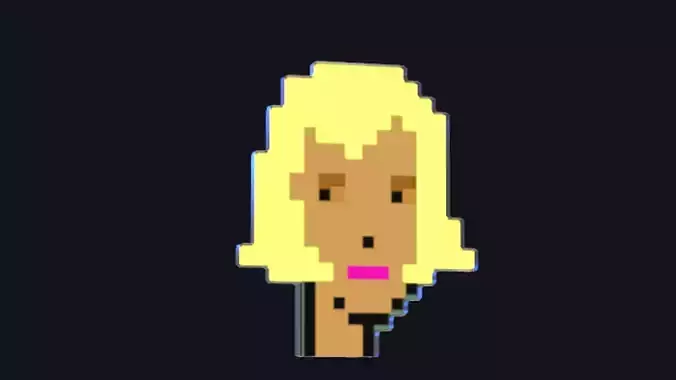 Cryptopunk Crypto Bitcoin Coin NFT 0466