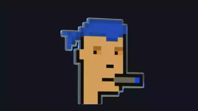 Cryptopunk Crypto Bitcoin Coin NFT 0463