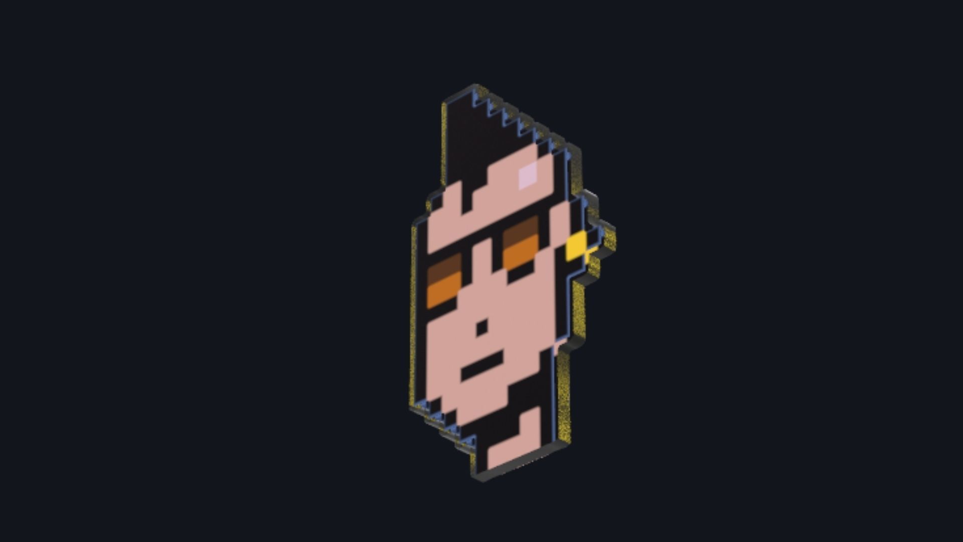 Cryptopunk Crypto Bitcoin Coin NFT 0460 3D model_5